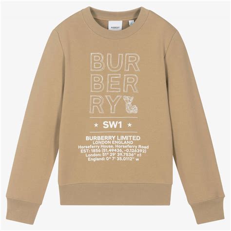 burberry garcon|Burberry boys sweatshirt.